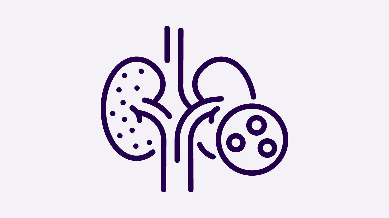 icon kidney