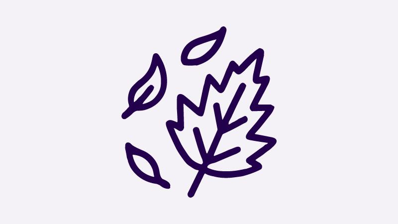 Fall (Autumn) Icon