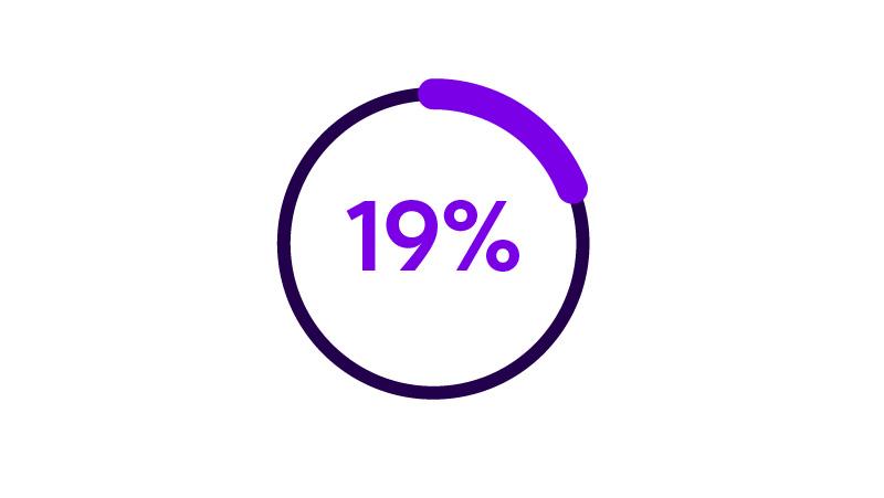 icon 19% pie chart