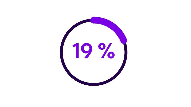 icon 19% pie chart