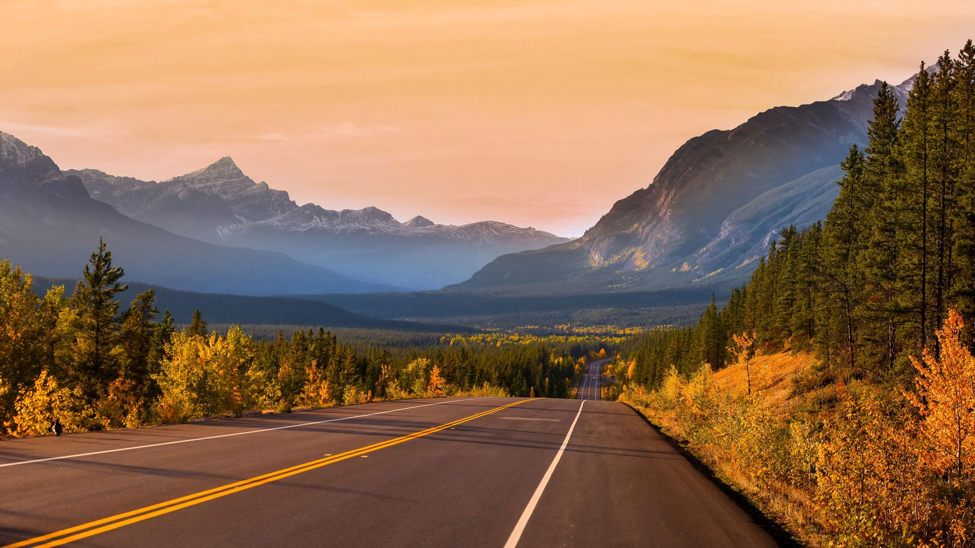 Road in Jasper National Park Alberta